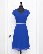 Royal Blue Zara Plus Dress