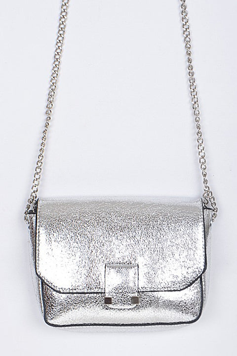 Silver Metallic Purse