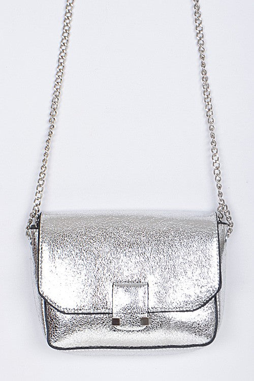 Silver Metallic Purse